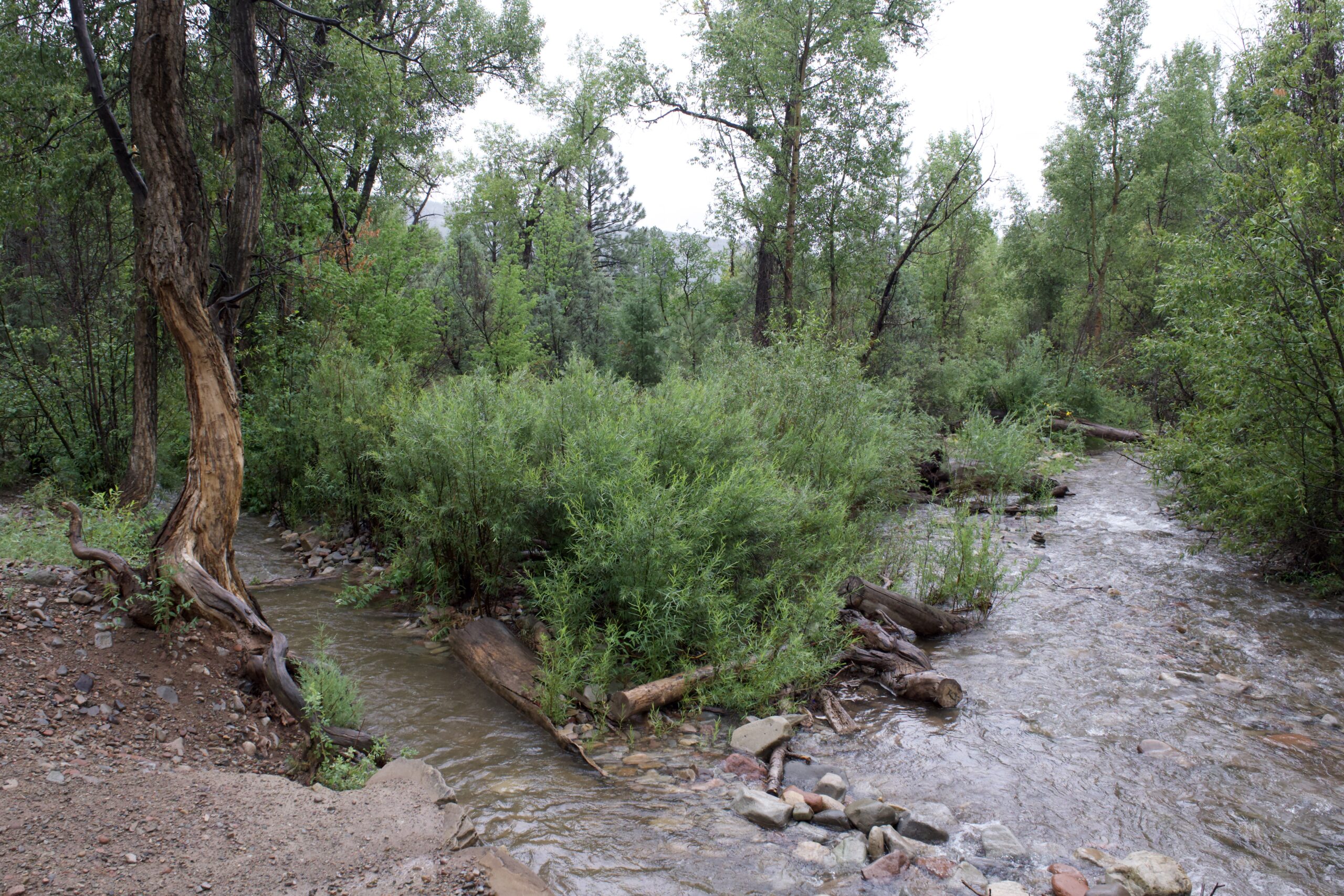 Our Work – 4 Rivers Collaborative Group